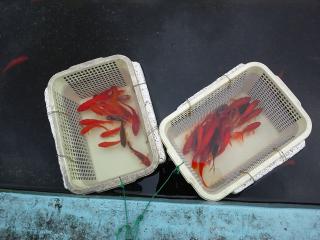 20120917_006_R.jpg