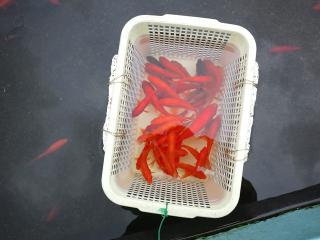 20120917_007_R.jpg