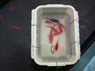20120917_008_R.jpg