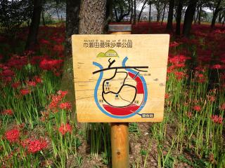20120930_008_R.jpg