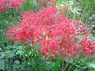 20120930_010_R.jpg