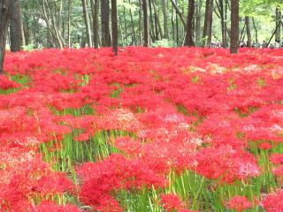 20120930_019_R.jpg
