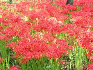 20120930_020_R.jpg