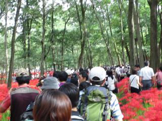 20120930_021_R.jpg