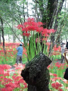 20120930_022_R.jpg