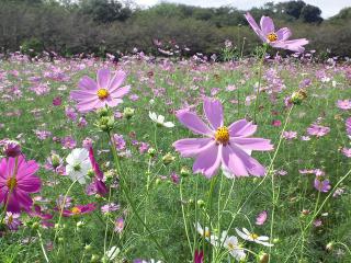 20120930_029_R.jpg