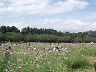 20120930_031_R.jpg