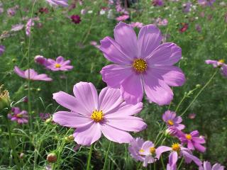 20120930_032_R.jpg