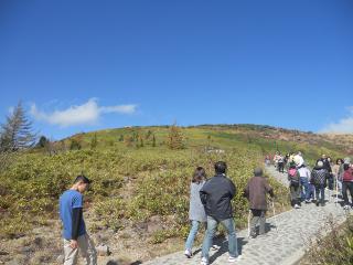20121020_050_R.jpg