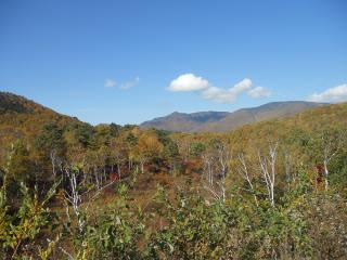 20121020_081_R.jpg