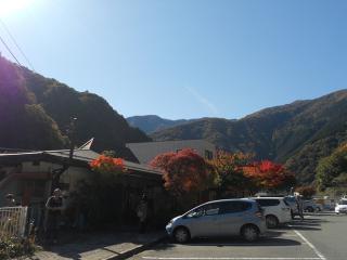 20121105_005_R.jpg