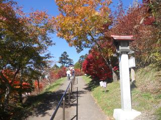 20121105_011_R.jpg