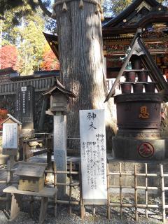 20121105_026_R.jpg