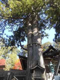 20121105_027_R.jpg