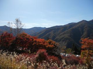 20121105_045_R.jpg