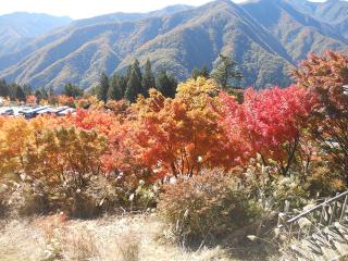 20121105_049_R.jpg