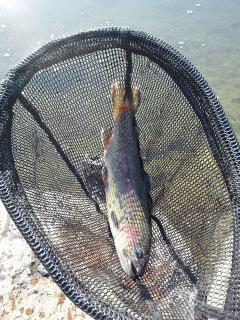20130106_030_R.jpg