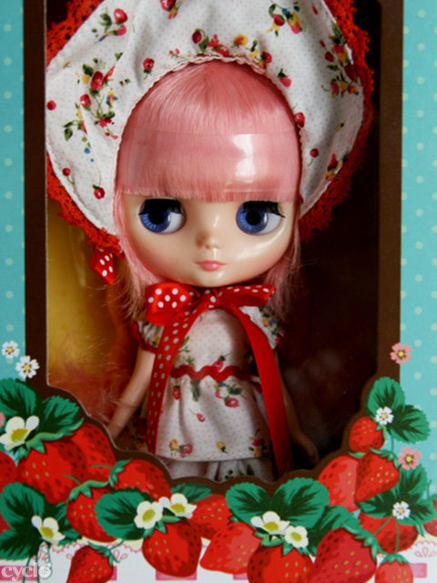 05_MiddieCollection.jpg