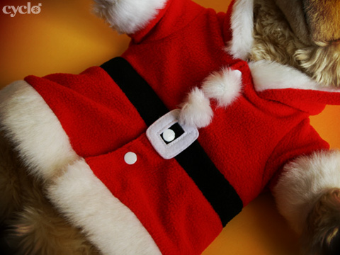 05_SantaJackBear.jpg