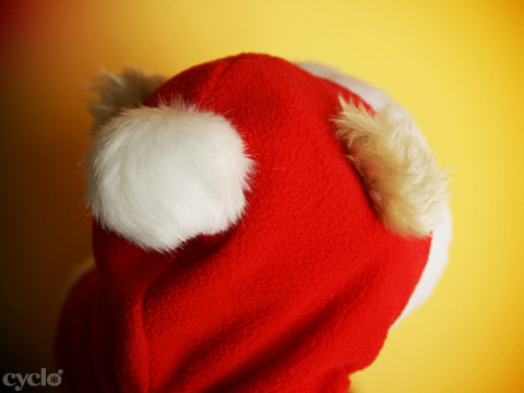 06_SantaJackBear.jpg