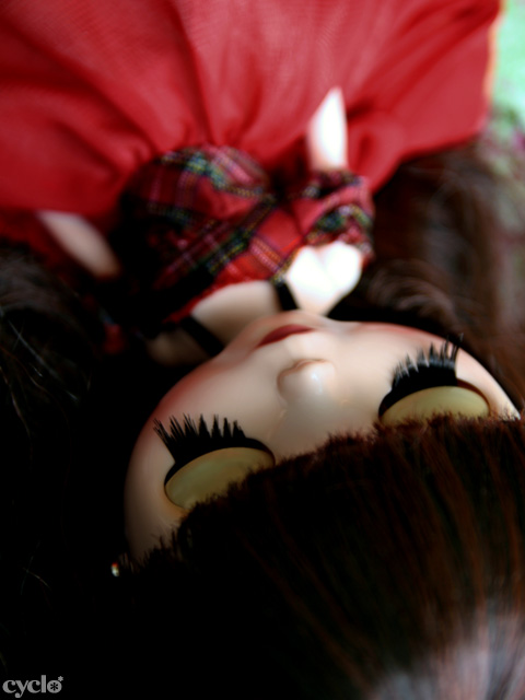 52_RedDelicious.jpg