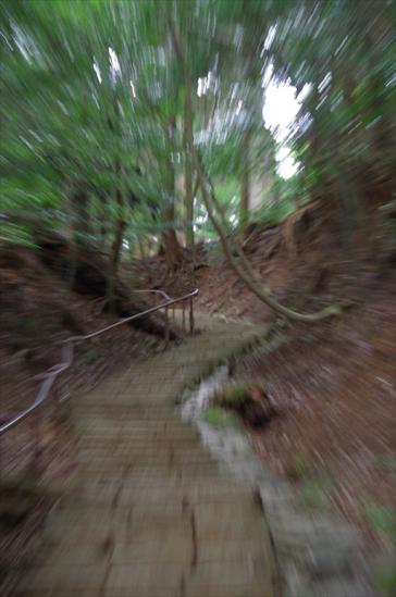 IMGP0720_R_R.jpg