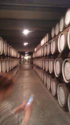 20121003_080132.jpg