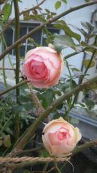 20121201_213456.jpg