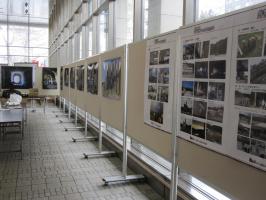 IMG_3016.jpg