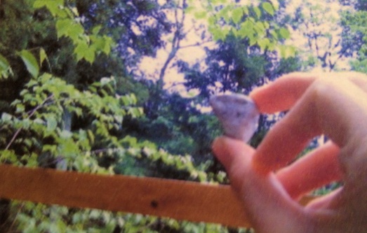 010_20130324005421.jpg