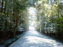 blog_import_5004746f685be.jpg