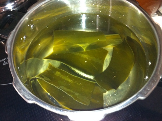 IMG_1759_20121027084947.jpg