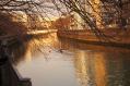 DSC04997.jpg