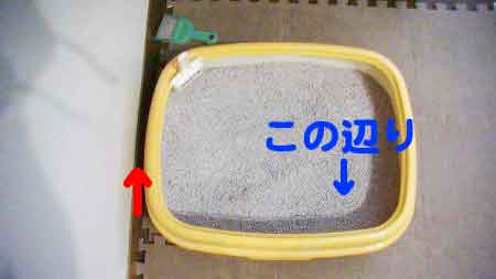 NZO0011.jpg