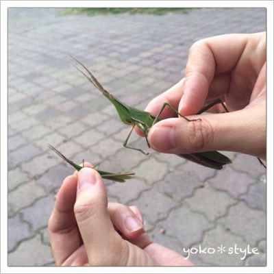 公園満喫*1