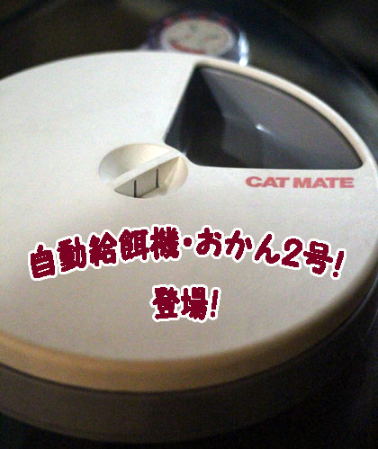 留守番1