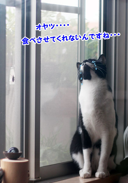 攻略法5