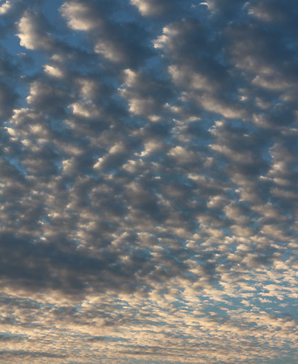 よっちゃんバザーの日の雲
