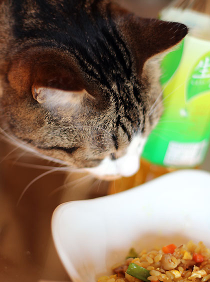 カレーチャーハン1