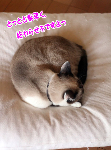 見かけによらない2