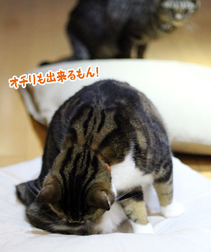 もん4