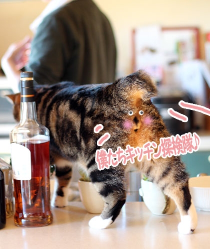 探検隊1