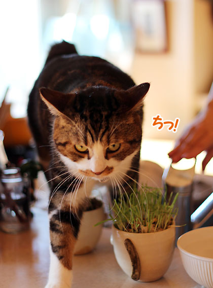 探検隊3