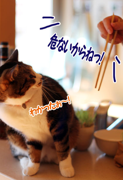 探検隊4