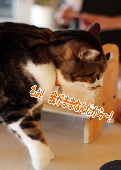 探検隊5