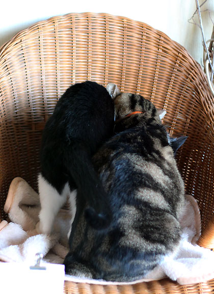 そこのふたり1