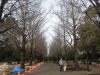 13.1.6奏公園7