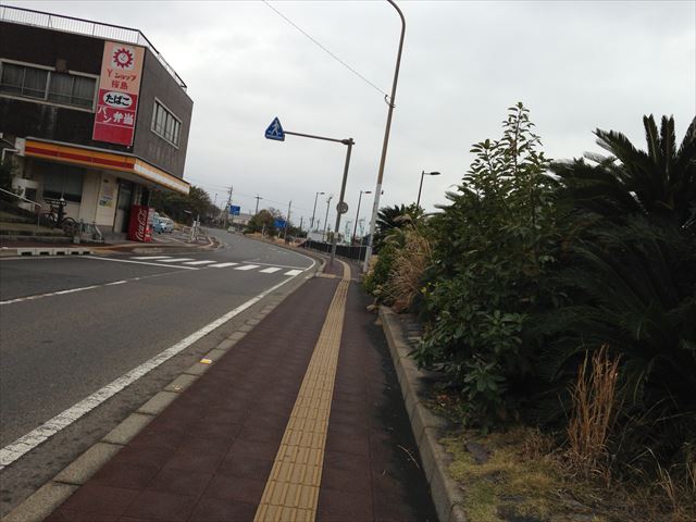 20140206sakurajima (47)_R