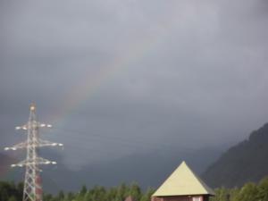DSCF1667.jpg