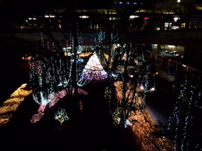 写真 (45)